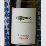 4 Kilos Llampuga Vinicola 2024