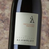 A Lamblot Intuition Nature 2023