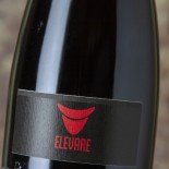 Pedecastello Elevare 2016