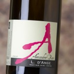 Alexandre Bain L. D'Ange 2022