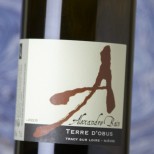 Alexandre Bain Terre D'Obus 2022 Alexandre Bain Terre D'Obus 2022