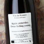 Anders Frederik Steen Again Yesterday I Was Feeling Young - 50 cl. Anders Frederik Steen Again Yesterday I Was Feeling Young - 50 cl.