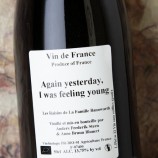 Anders Frederik Steen Again Yesterday I Was Feeling Young - 50 Cl