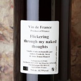 Anders Frederik Steen Flickering Through My Naked Thoughts 2023
