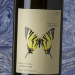 Andreas Tscheppe Segelfalter 2020 Andreas Tscheppe Segelfalter 2020