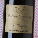 Antoine Sanzay Saumur Champigny Les Poyeux 2022