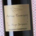 Antoine Sanzay Saumur La Haye Dampierre 2022