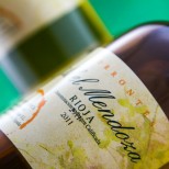 Abel Mendoza Torrontés 2023