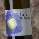 La Ví Y Soñé 2022