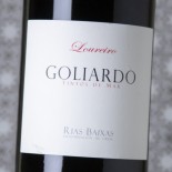 Goliardo Loureiro 2022