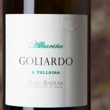 Goliardo A Telleira 2024