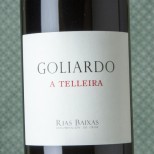 Goliardo A Telleira Caiño 2020 Goliardo A Telleira Caiño 2020