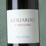 Goliardo A Telleira Caiño 2020