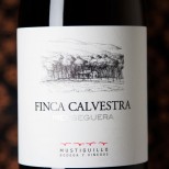Mustiguillo Finca Calvestra 2022 Mustiguillo Finca Calvestra 2022