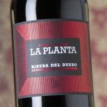 La Planta 2023 La Planta 2023
