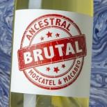 Cueva Brutal Ancestral 2023 Cueva Brutal Ancestral 2023