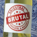 Cueva Brutal Ancestral 2023