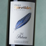Viña Pedrosa Cepa Gavilán 2022 Viña Pedrosa Cepa Gavilán 2022