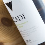 Izadi Blanco Fermentado en Barrica 2023 Izadi Blanco Fermentado en Barrica 2023
