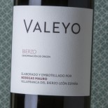 Mauro Valeyo 2021 Mauro Valeyo 2021