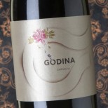 Godina 2022 Godina 2022