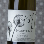 Alberto Nanclares Dandelión 2023 Alberto Nanclares Dandelión 2023