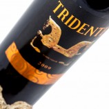 Tridente Tempranillo 2021