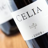 Celia Vizcarra 2022