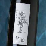 Pino 2024 Pino 2024
