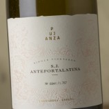 Pujanza San Juan Anteportalatina 2022