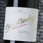 Castro Candaz Finca El Curvado 2021 Castro Candaz Finca El Curvado 2021