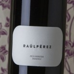 Raúl Pérez Pico Ferreira Paradela 2020 Raúl Pérez Pico Ferreira Paradela 2020