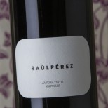 Raúl Pérez Ánfora Tinto Valtuille 2020 Raúl Pérez Ánfora Tinto Valtuille 2020