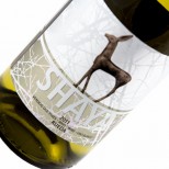 Shaya 2024 Shaya 2024