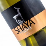 Shaya Habis 2023