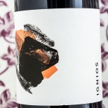 Ignios Vijariego Negro 2022 Ignios Vijariego Negro 2022
