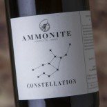 Ammonite Constellation 2020