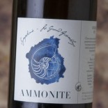 Ammonite Symphonie Solera Viii