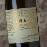 Burja Bela 2019