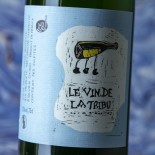 Caroline Ledédenté Le Vin De La Tribu 2022