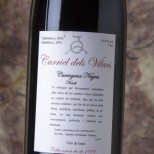 Carriel dels Vilars Carinyena Negra Novell 2020 Carriel dels Vilars Carinyena Negra Novell 2020