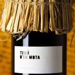 Recaredo Turó d'en Mota 2011 Recaredo Turó d'en Mota 2011