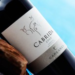 Cabrida 2022 Cabrida 2022