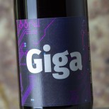 Giga 2021 Giga 2021