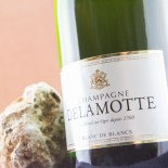 Delamotte Brut Blanc De Blancs