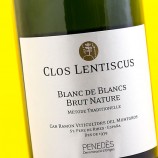 Clos Lentiscus Blanc De Blancs Brut Nature Magnum