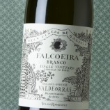 Falcoeira Branco 2020