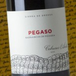 Pegaso Barrancos de Pizarra 2023 Pegaso Barrancos de Pizarra 2023