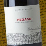Pegaso Barrancos De Pizarra 2022