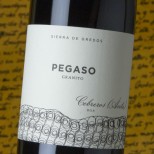 Pegaso Granito 2023 Pegaso Granito 2023